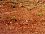 Roter Sand