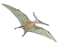 Pteranodon